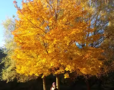 Autumn colours with Marte and Ingvild