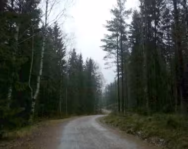 Running to Kringlevann