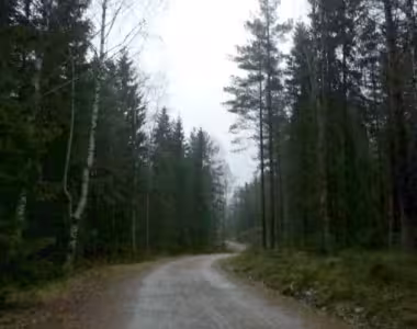 Running to Kringlevann