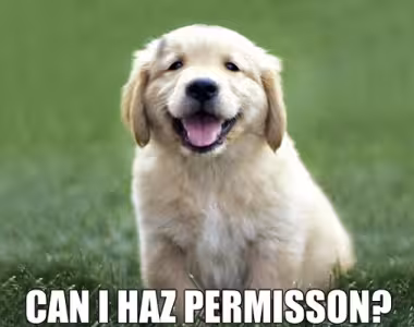 Are Your Plugins Secure? Part 2: Permissions and Nonces