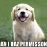 Are Your Plugins Secure? Part 2: Permissions and Nonces