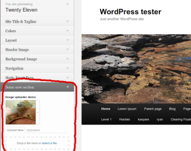 Adding images to the theme customiser