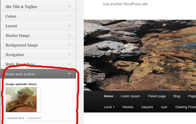 Adding images to the theme customiser