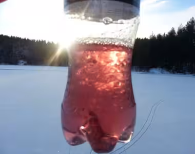 Frozen saft!