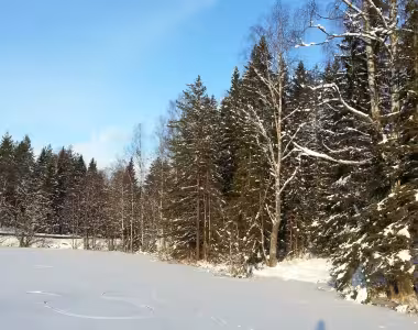 More photos from skating on Kringlevann