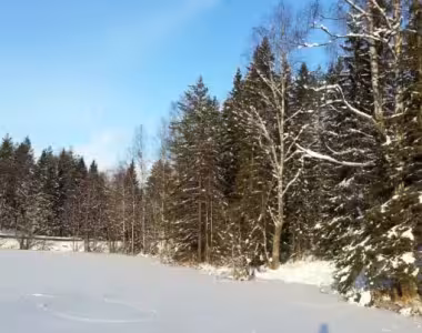 More photos from skating on Kringlevann