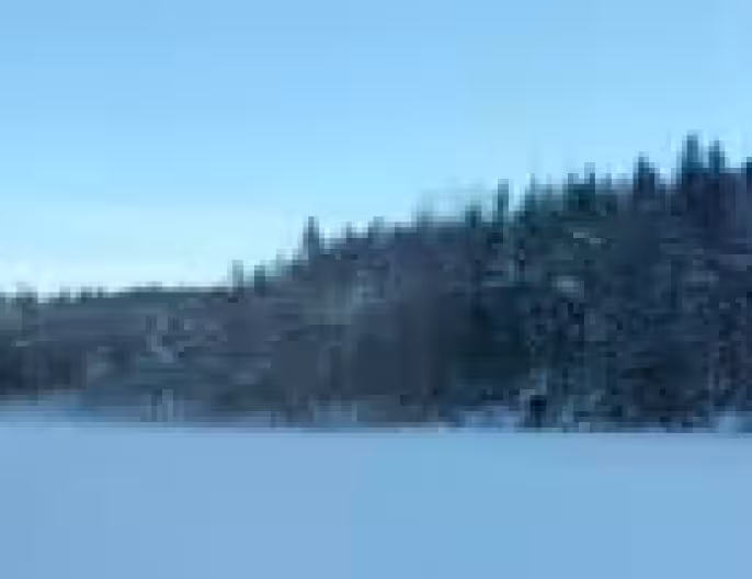 Kringlevann skating panorama