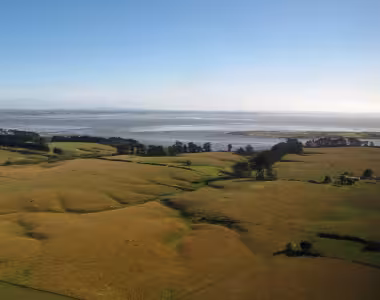 Auckland via plane