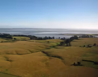 Auckland via plane