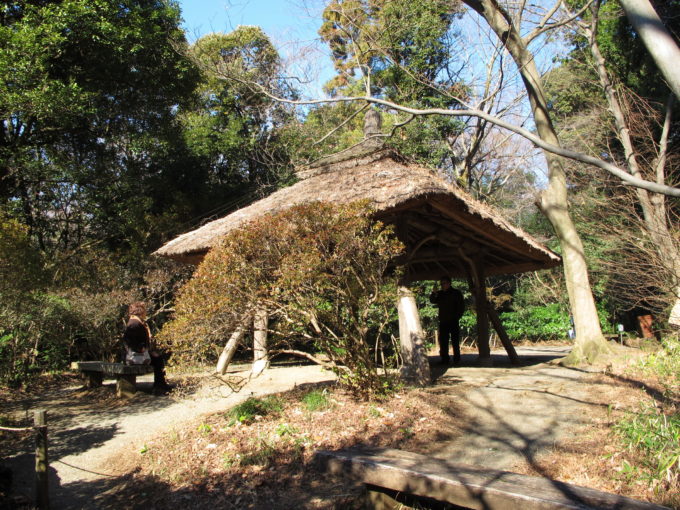 Meija Shrine inner garden