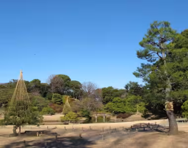 Rikugi-en gardens