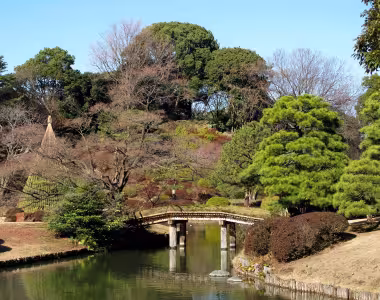 Few more Rikugi-en gardens pictures