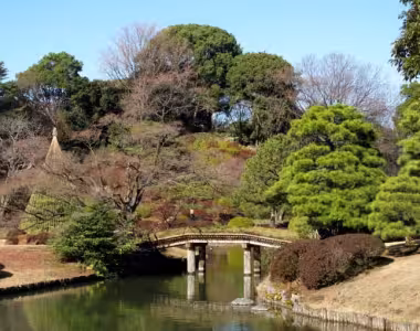 Few more Rikugi-en gardens pictures