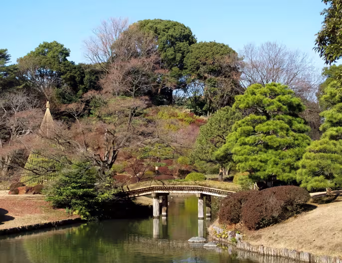 Few more Rikugi-en gardens pictures