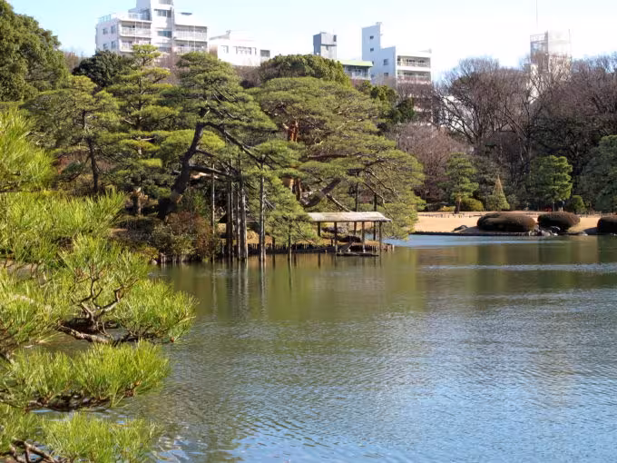 Rikugi-en gardens
