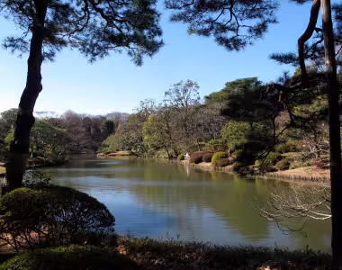 More photos from the Rikugi-en gardens