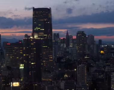 Tokyo city after sunset