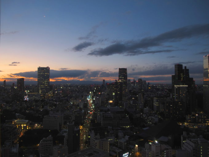 Tokyo just after the sun set