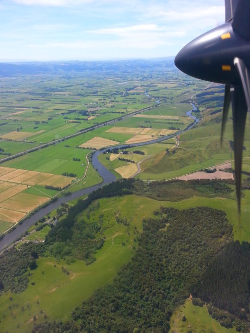 View towards Dunedin