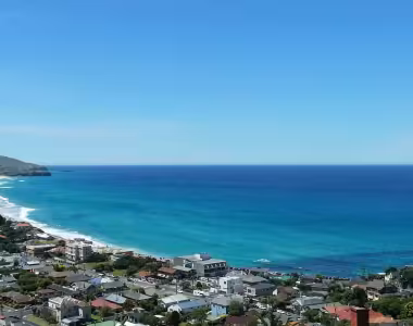 Visiting Dunedin