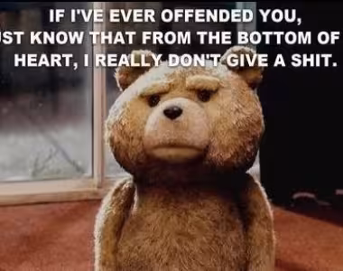 Don’t give a shit teddy