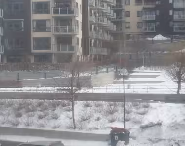 Oslo spring
