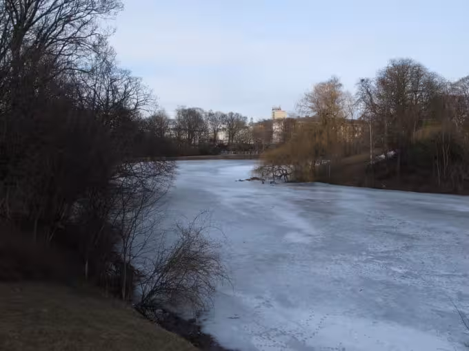 There are beautiful lakes all over the city.