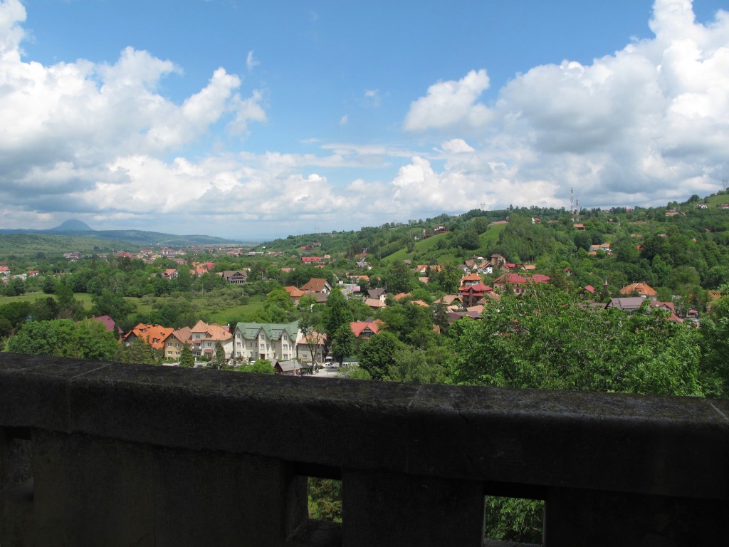 View from Bran castle