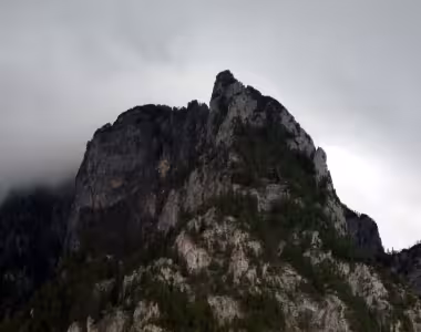 Carpathian mountains