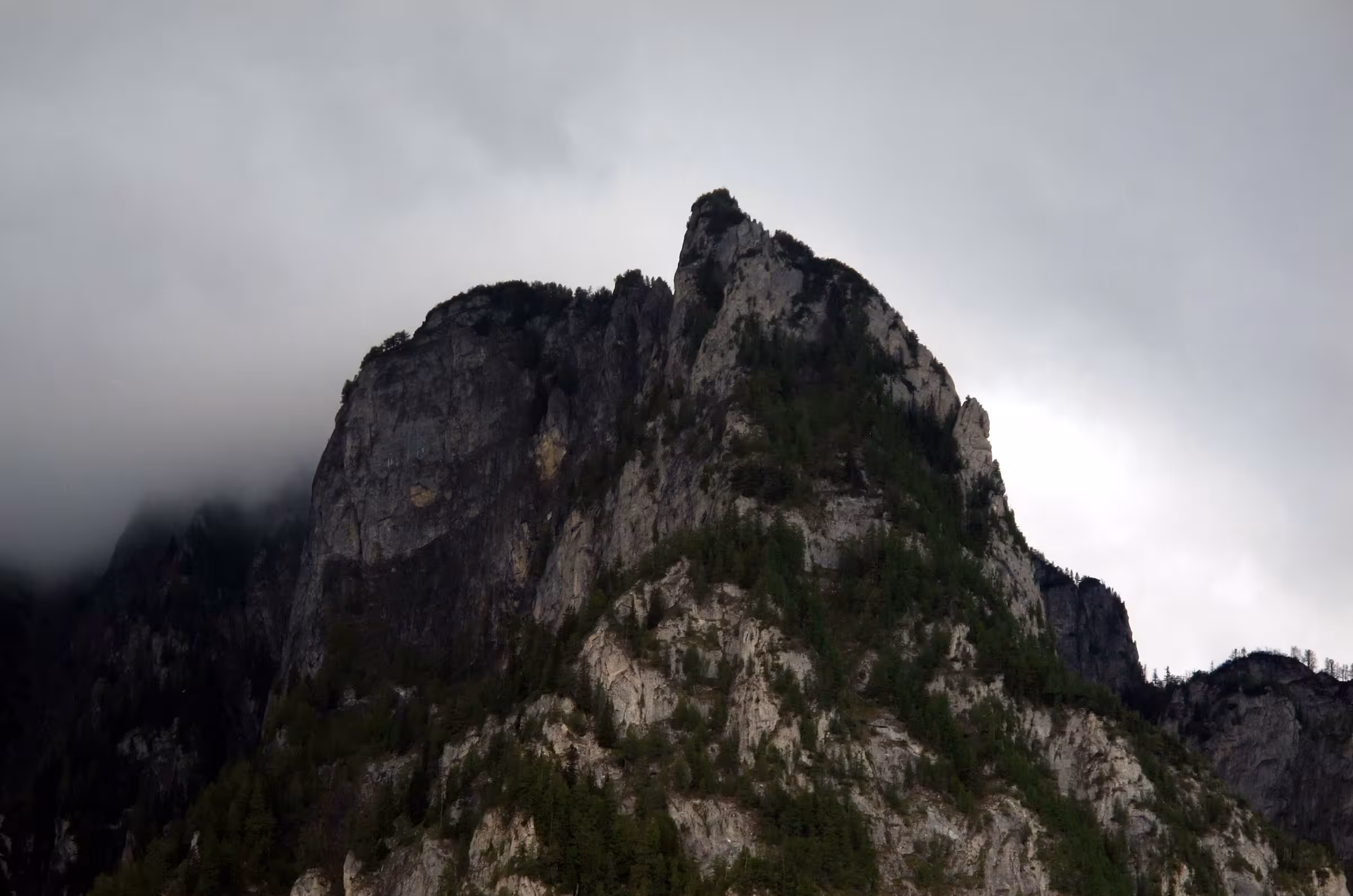 Carpathian mountains