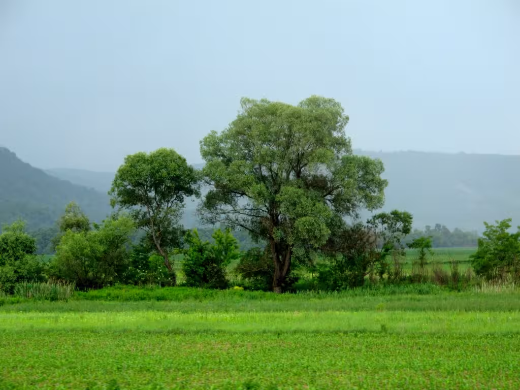 Beautiful Transylvanian countryside