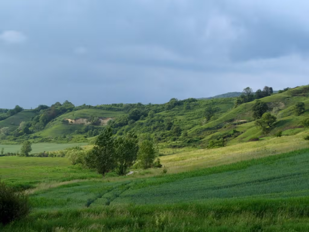 Transylvanian countryside