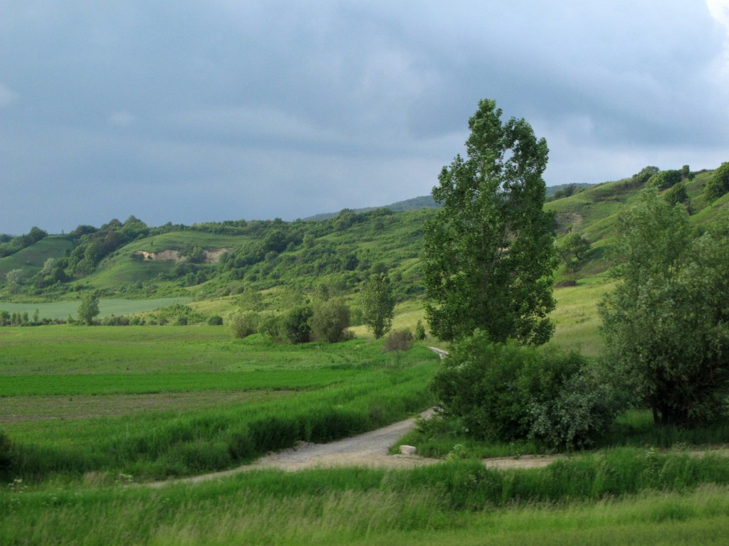 Transylvanian countryside