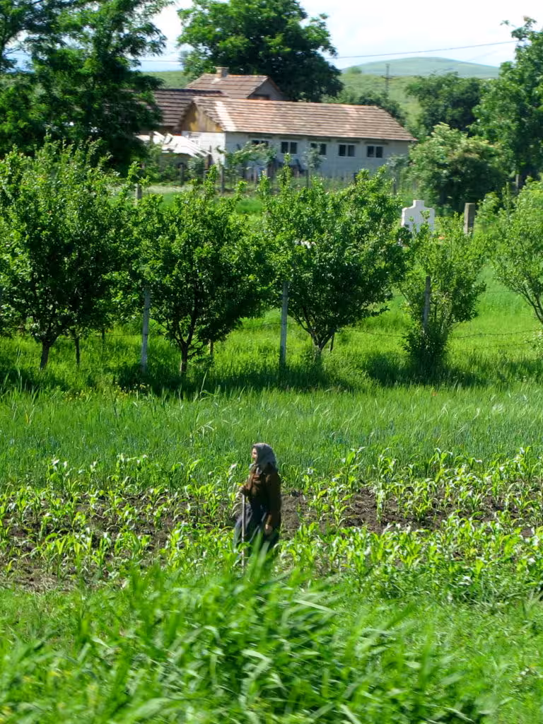 Romanian farmer in rural Transylvania