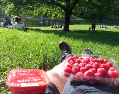 Slottsparken