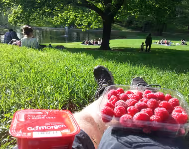 Slottsparken