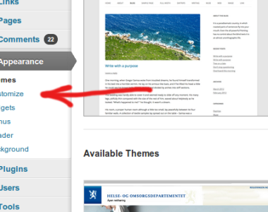 Customizer link