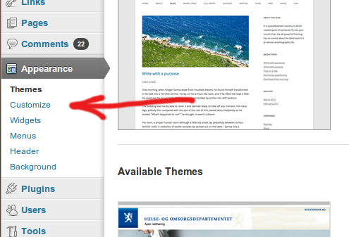 Customizer link