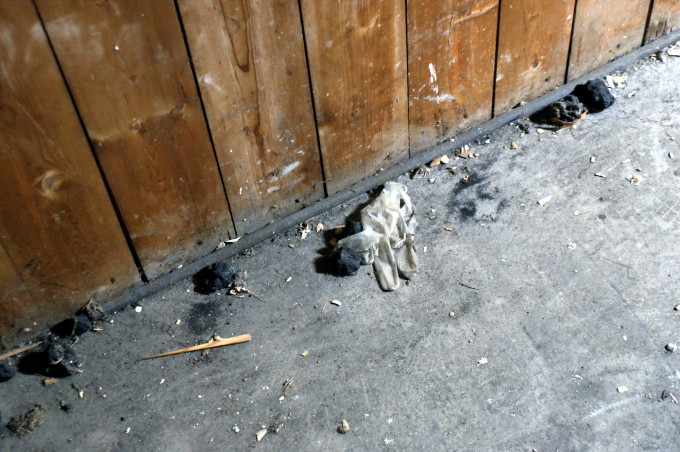 Medical glove in the attic of Lier sykehuset