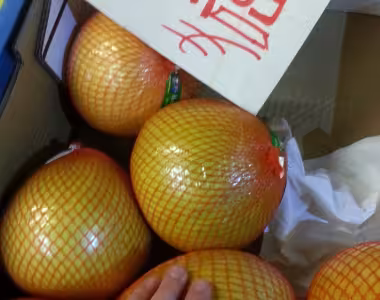 Giant fruit in Germany