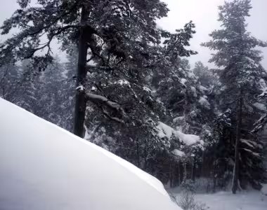 Skiing 2014