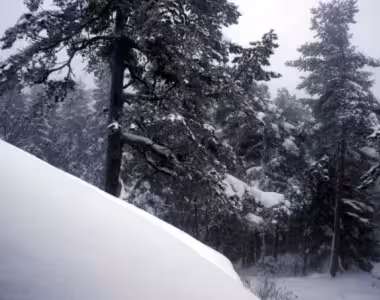 Skiing 2014