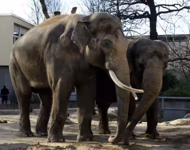 Berlin zoo