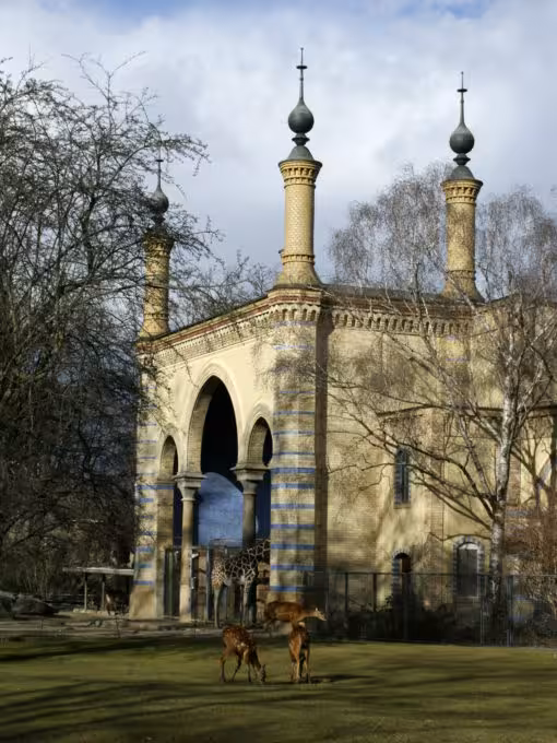 Giraffe at Berlin zoo