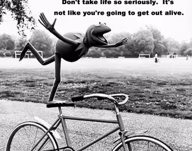 Wisdom from Kermit