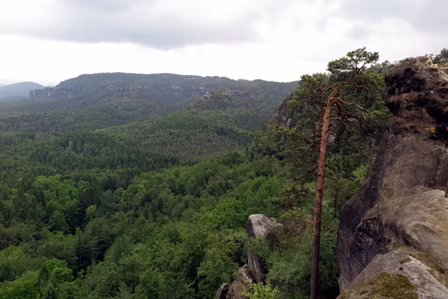 Hiking in Sachsen