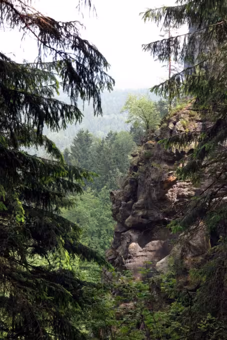 Hiking in Sächsische Schweiz