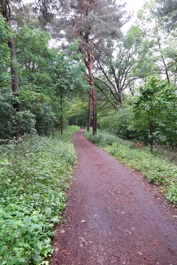 Walking track near Berlin
