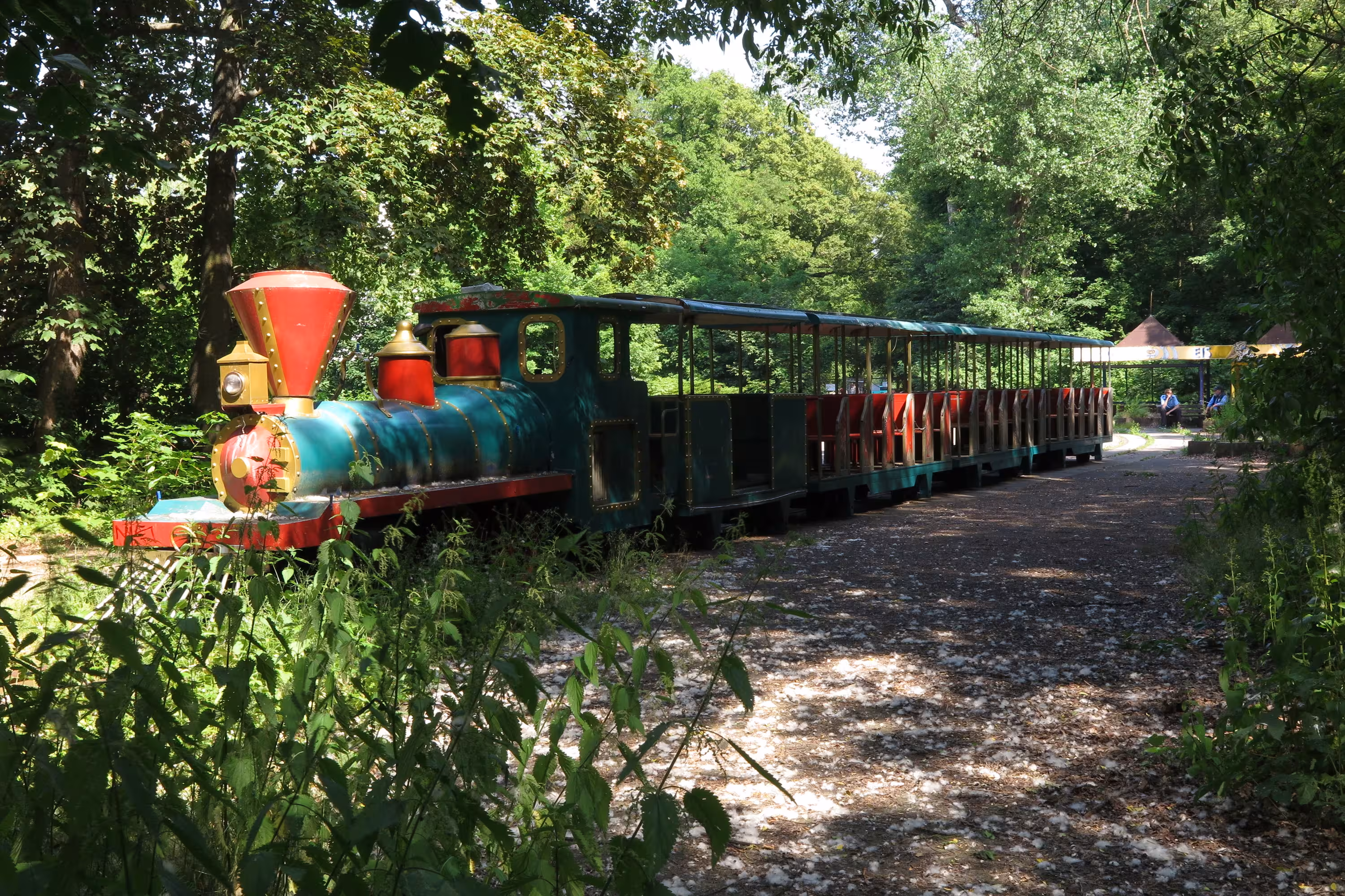 Abandoned amusement park