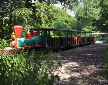 Abandoned amusement park